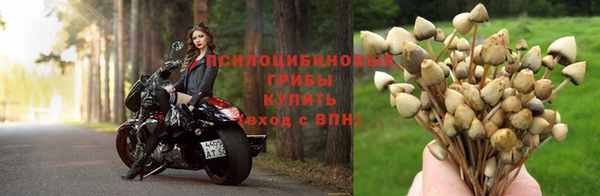 крисы Волосово
