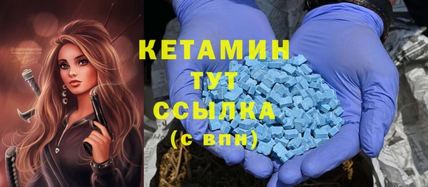 сатива Сосновка
