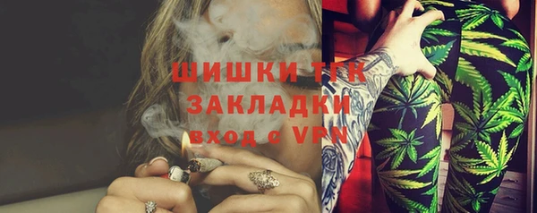 амф Вяземский