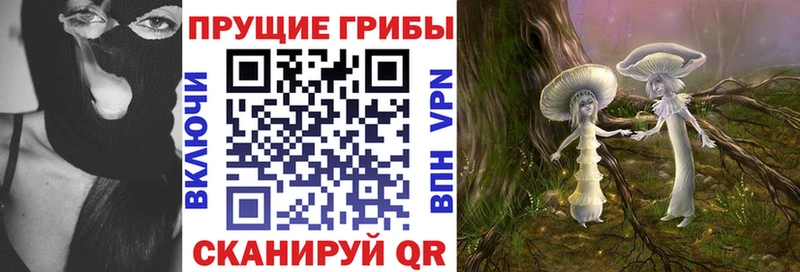 Галлюциногенные грибы GOLDEN TEACHER  даркнет сайт  Давлеканово 